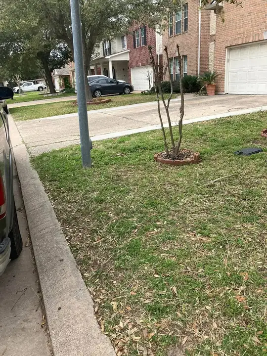 After junk removal — clean, cleared space by AJC Junk Removal in Concord, NC (#04)